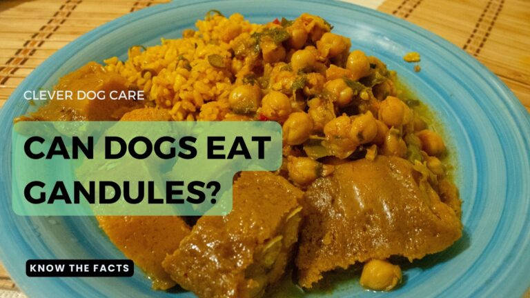Can Dogs Eat Gandules? An Expert Guide to Nutrition for Your Puppy