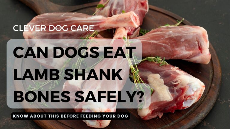 Can Dogs Eat Lamb Shank Bones Safely? Here’s What You Need to Know