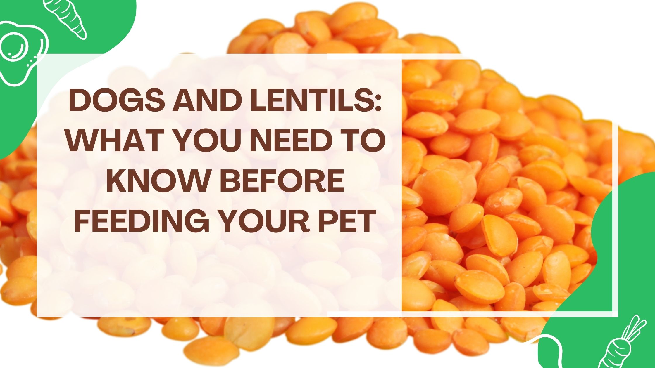 Can dogs eat lentils