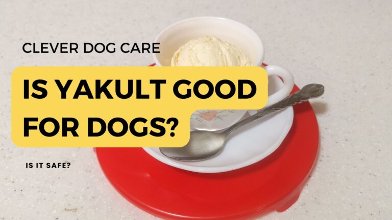 Is Yakult Good for Dogs? What You Need to Know Before Feeding Your Pooch