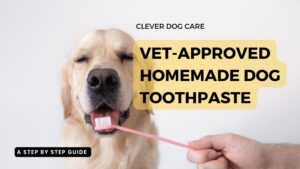 Vet-Approved Homemade Dog Toothpaste