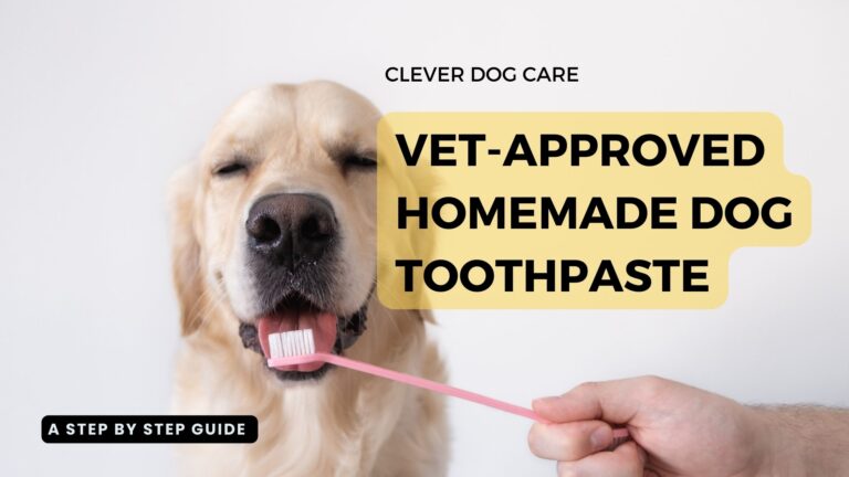 Vet-Approved Homemade Dog Toothpaste: A Step-by-Step Guide