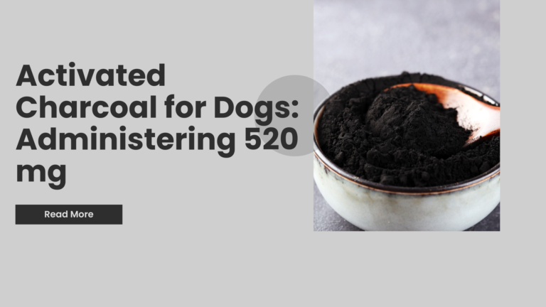 Activated Charcoal for Dogs: What You Need to Know Before Administering 520 mg